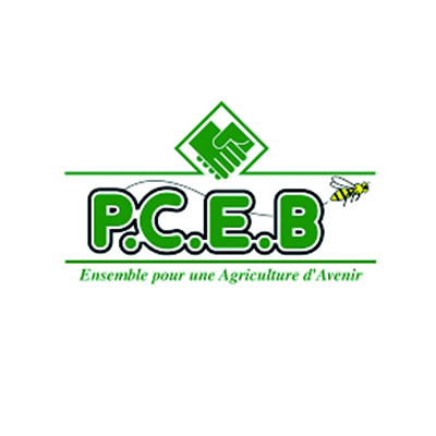 logo png 0004 P.C.E.B