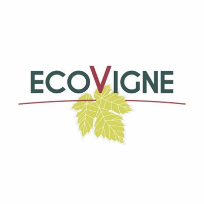 logo png 0010 ECOVIGNE