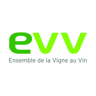 logo png 0011 E.V.V