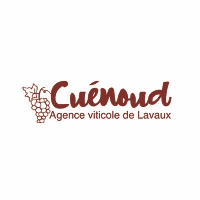 logo png 0012 CUENOUD