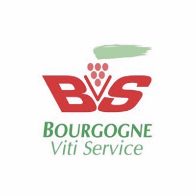 logo png 0015 BVS