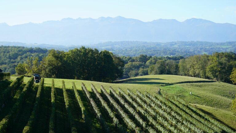 Vineyard and moutains, in Jurançon in France