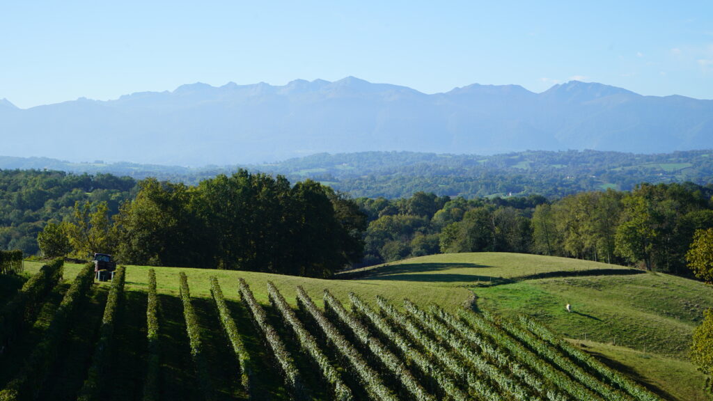 Vineyard ans moutains, in Jurançon, in South of France